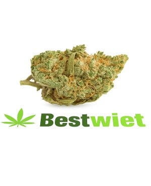 Amnesia Haze