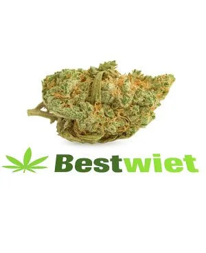 Amnesia Haze
