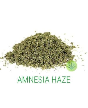 Amnesia Haze Gruis 5 Gram