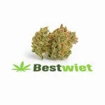 Lemon Haze