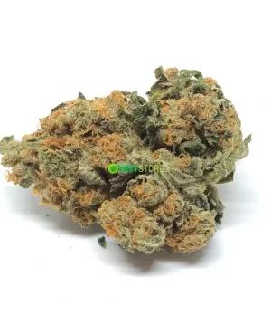 Jack Herer