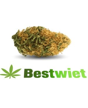 White Widow