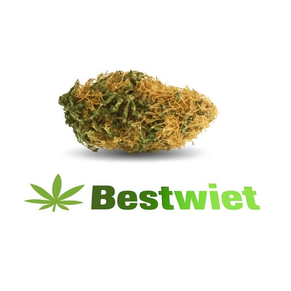 White Widow