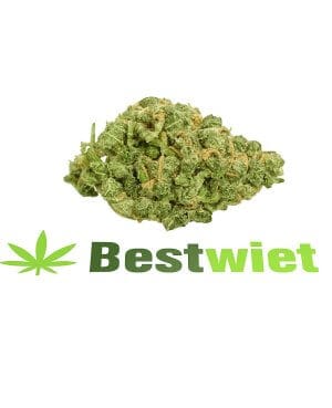White Widow