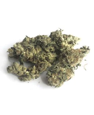 northern lights lil buds