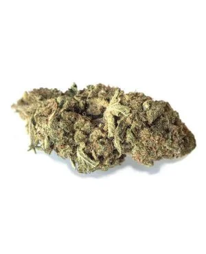 Wild Amnesia Haze
