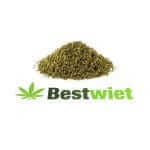 Amnesia Haze gruis 5 gram