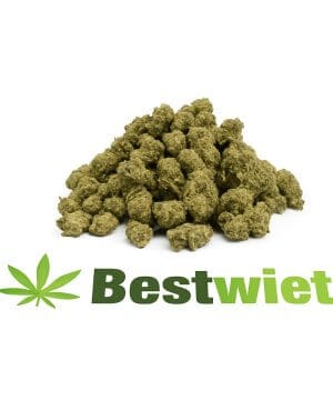 Amnesia haze lil buds
