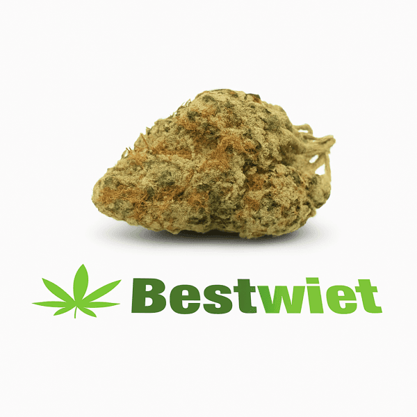 Dutch Haze