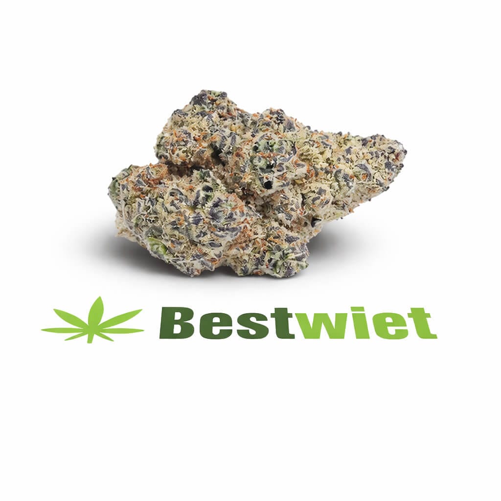 Northern lights1 Northern lights1