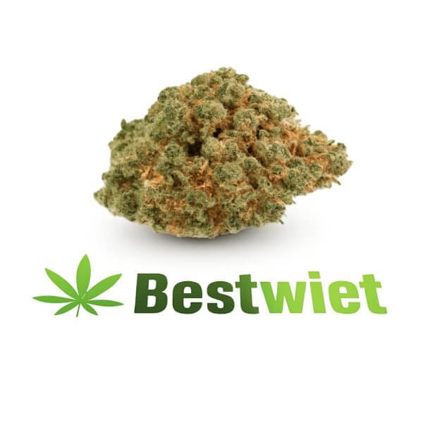 Jack Herer
