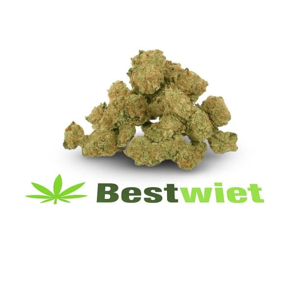 New York Diesel lil buds