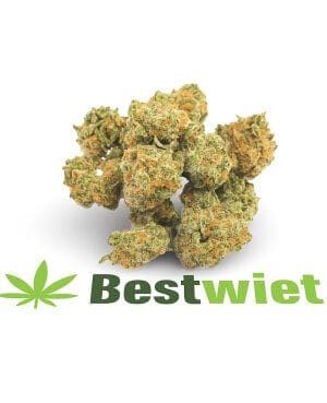 Super Lemon Haze Lil Buds