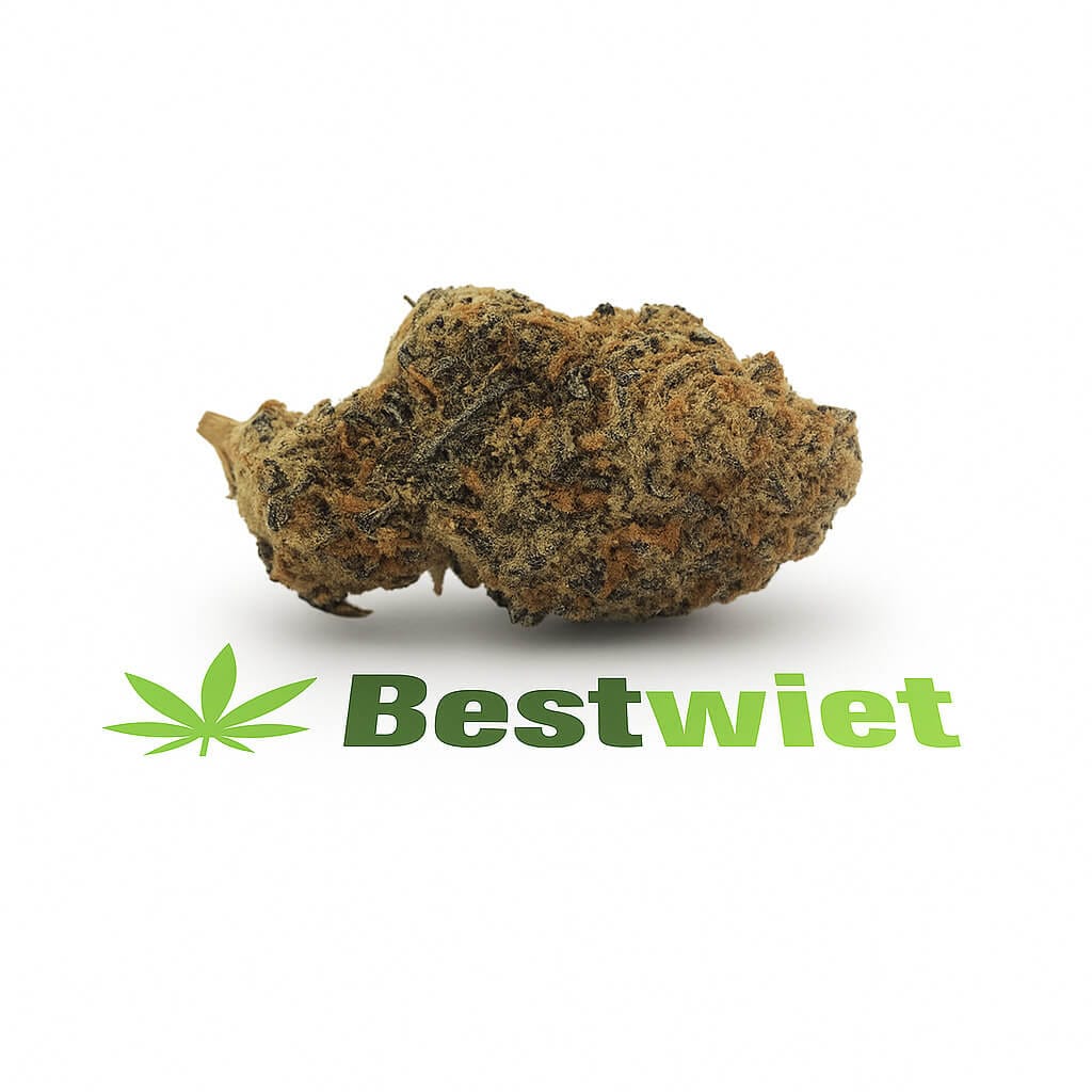 Gorilla Butter1 Gorilla Butter