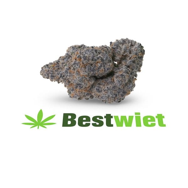 Animal Cookies