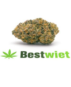Ak-47