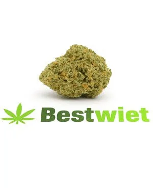 miracle alien cookies