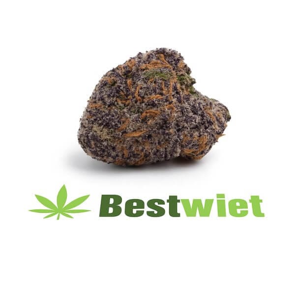 Granddaddy purple