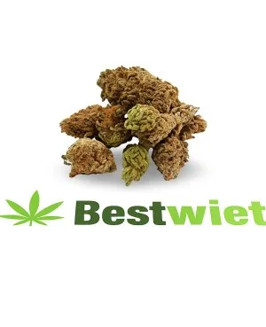Hollandse Cocktail Lil Buds per 5 gram
