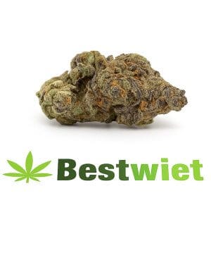 Platinum Blackberry