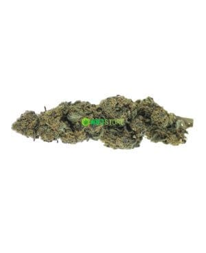 Jungle Haze