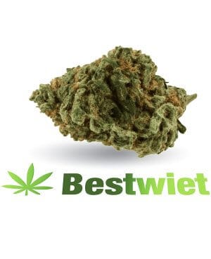 Kosher kush