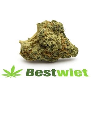 OG18