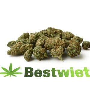 Power plant lil buds