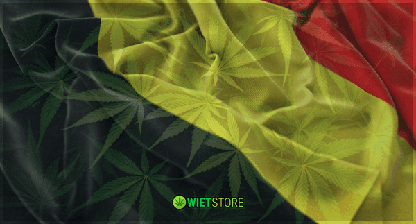 Belgian flag with cannabis leaves overlay