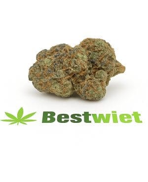 Black Zoap Cali cannabis – donkere Cali-strain met 20–25% THC, zoete aards-chocoladesmaak – Bestwiet