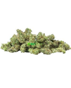 Kosher Kush Lil Buds
