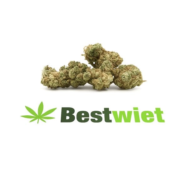 Kosher Kush Lil Buds Per 5 Gram