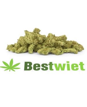 Kosher kush lil buds
