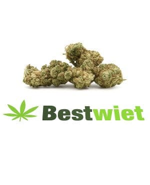 Kosherkush lil buds