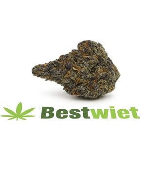 Blueberry Cookies