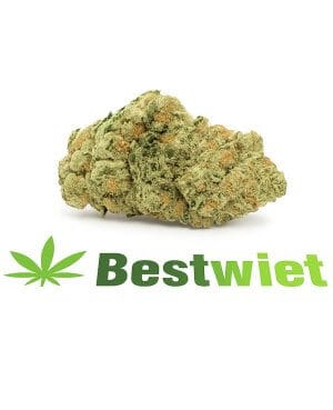 Girl scout cookies, wiet, bestwiet