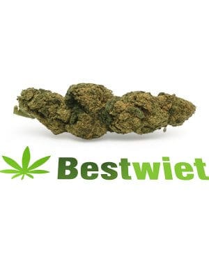 Jungle haze, wiet, bestwiet