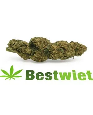 Jungle haze, wiet, bestwiet