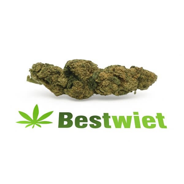 Jungle haze, wiet, bestwiet