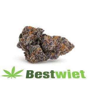 Lemon cherry gelato, wiet, bestwiet