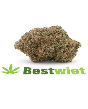 Rainbow Zkittelz