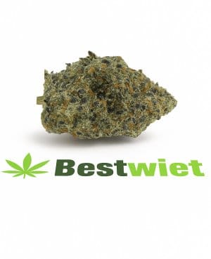 Snoop Dogg Og