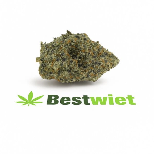 Snoop Dogg Og