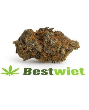 Sunset Sherbert