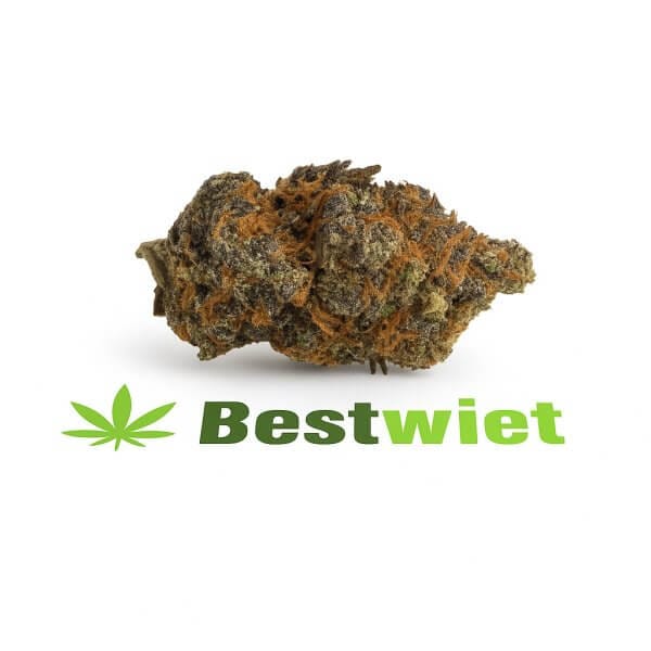 Sunset Sherbert