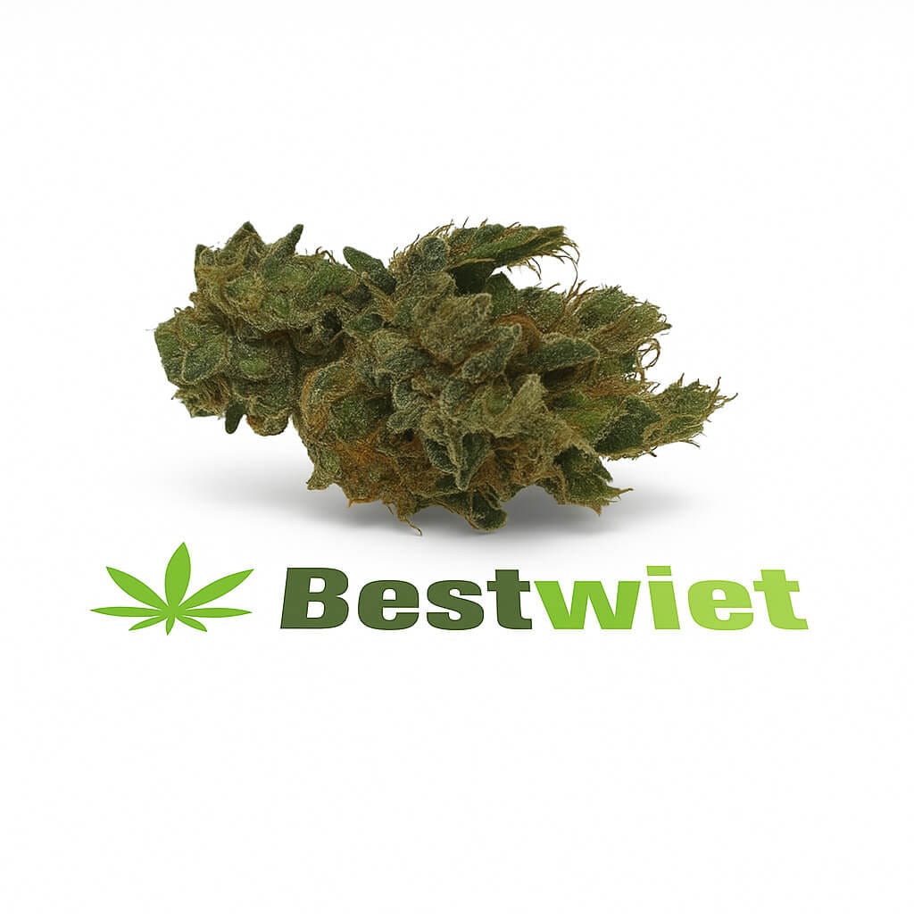 Jungle Kush Jungle Kush