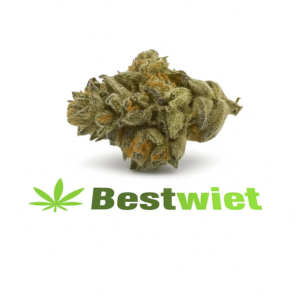 Purple punch Purple Punch