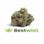 Platinum Cookie