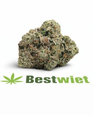 Platinum Cookie