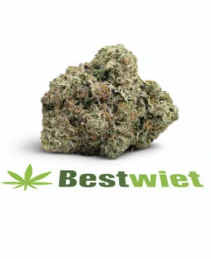 Platinum Cookie